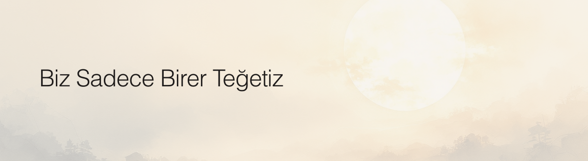 Biz Sadece Birer Teğetiz