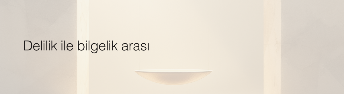 Delilik ile bilgelik arası